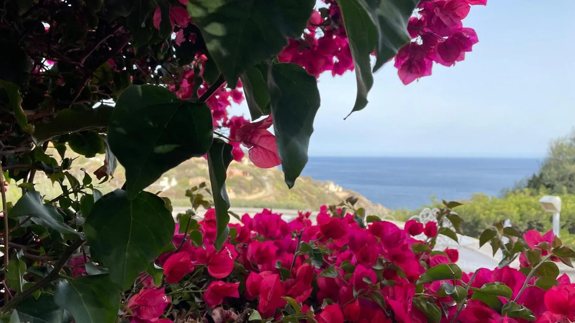 Villa Bianca Torre delle Stelle Italy