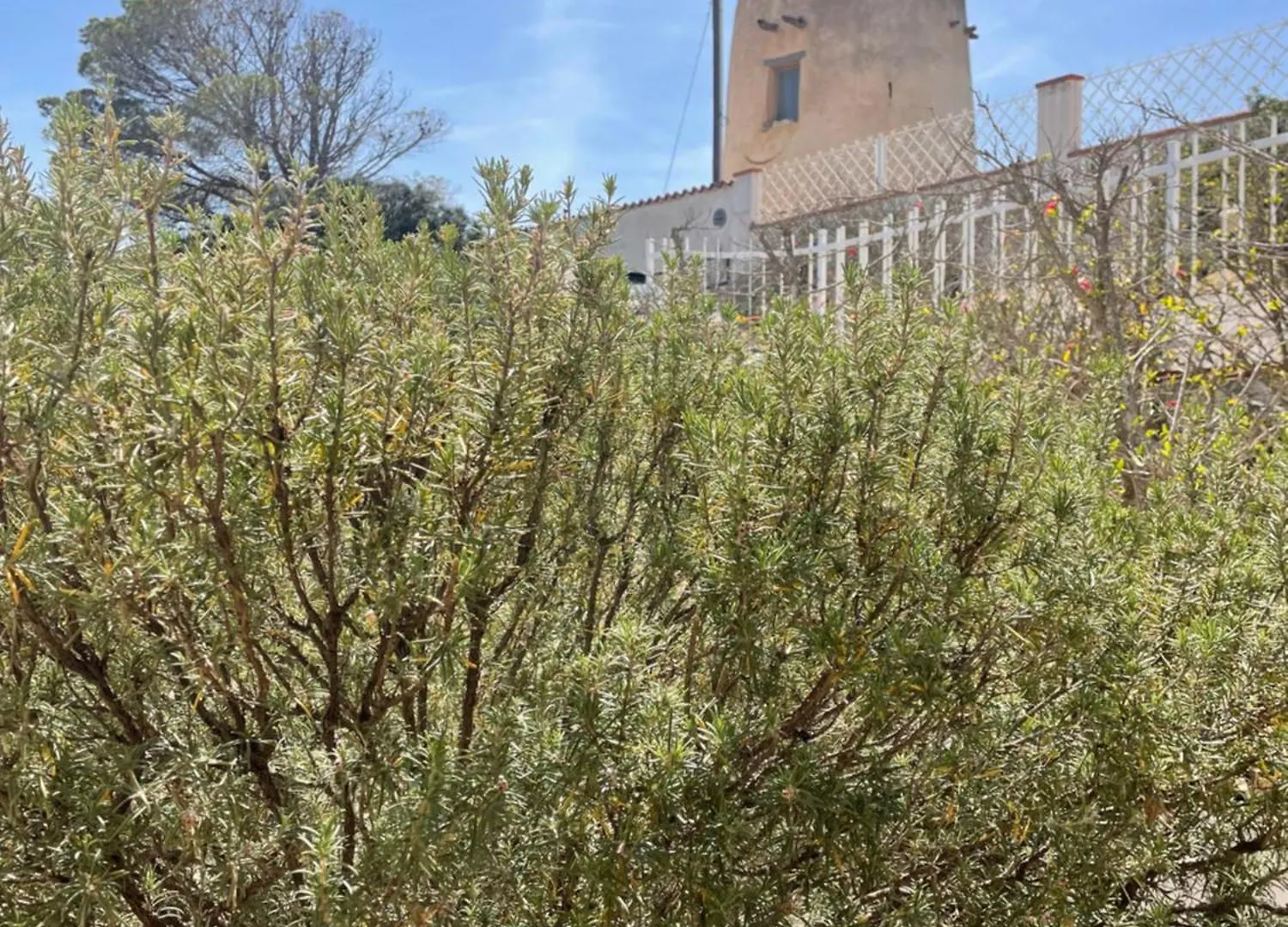 Villa Bianca Torre delle Stelle